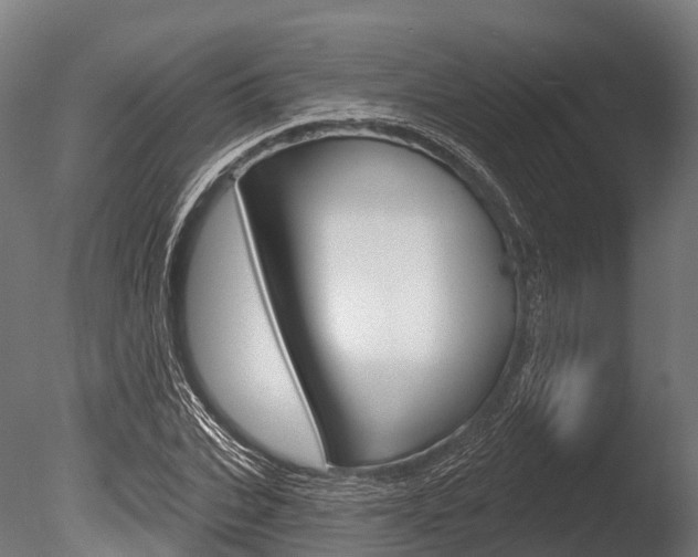 X0000086050927200703230916