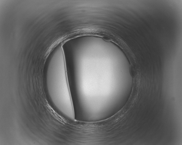X0000086050930200703230917