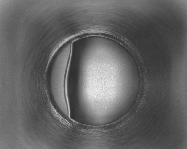 X0000086050934200703230917