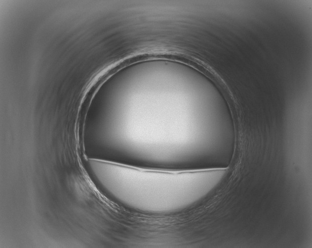 X0000086050935200703230917