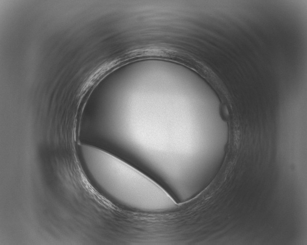 X0000086050938200703230917