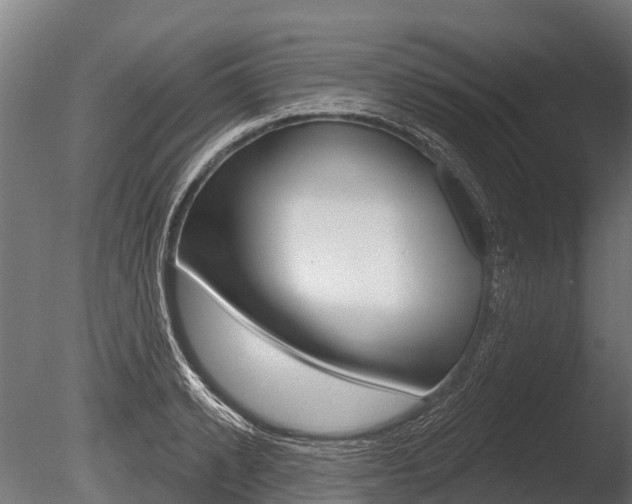 X0000086050942200703230917