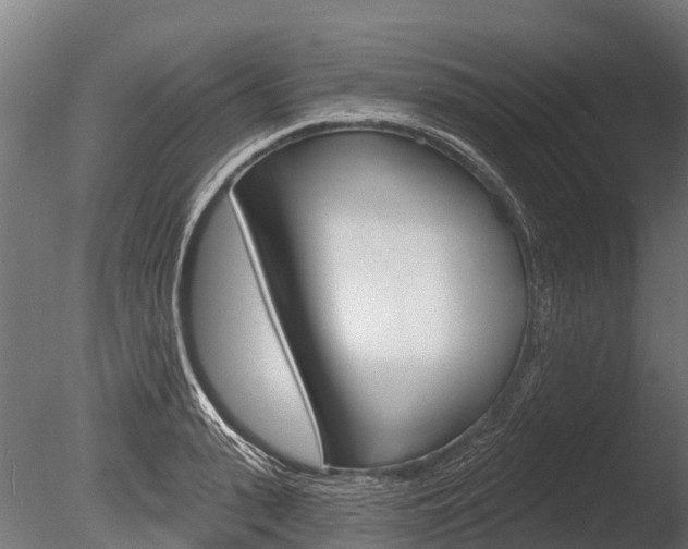 X0000086050943200703230917
