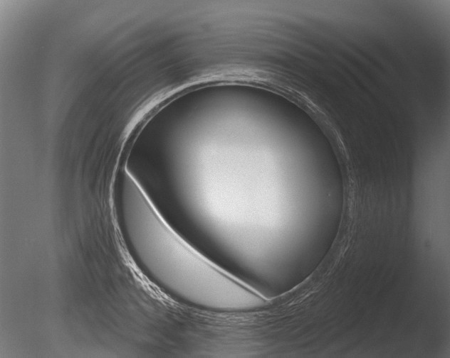 X0000086050944200703230917