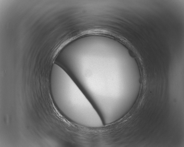 X0000086050945200703230917