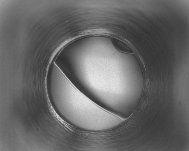 X0000086050947200703230917