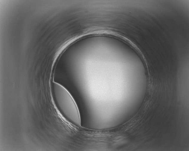 X0000086050951200703230917