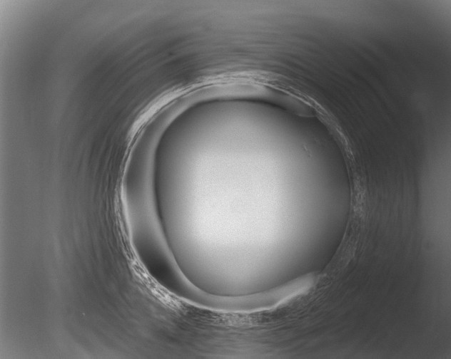 X0000086050952200703230917