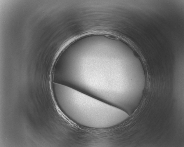 X0000086050958200703230917