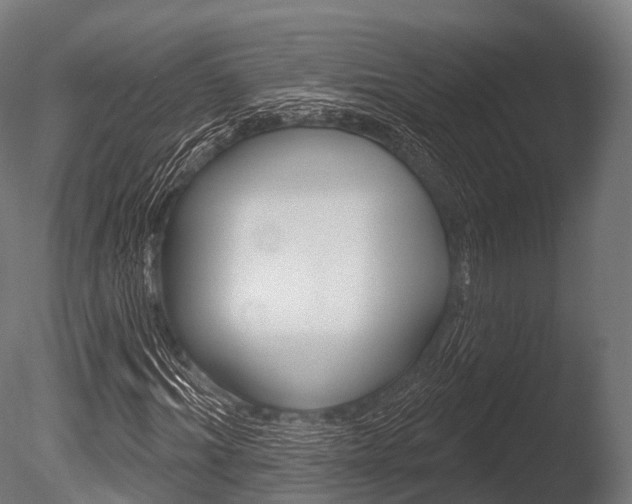 X0000086050964200703230916