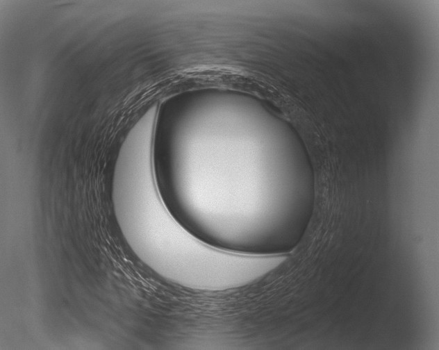 X0000086050965200703230916