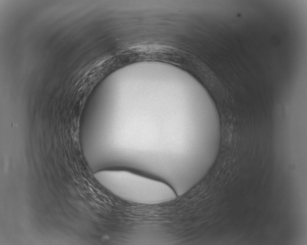X0000086050966200703230916