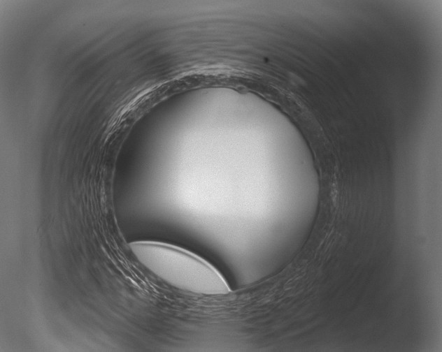 X0000086050968200703230916