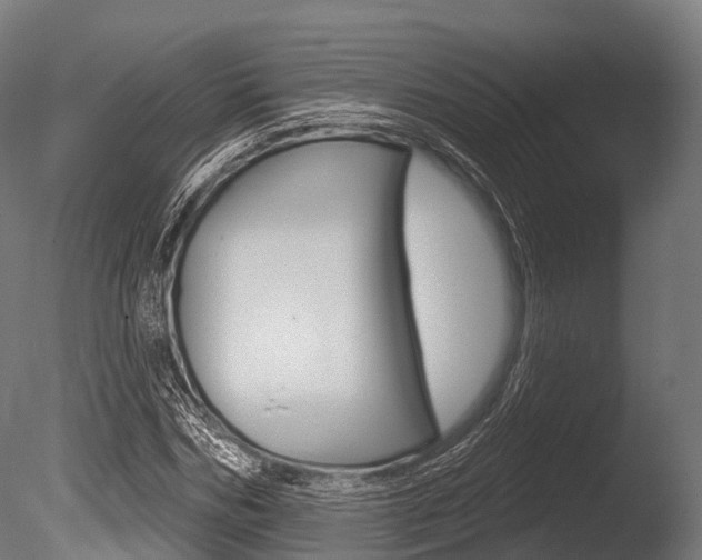 X0000086050970200703230916