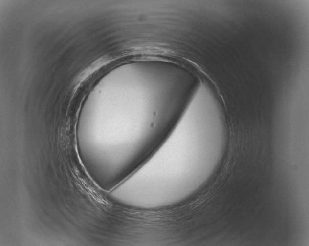 X0000086050971200703230916