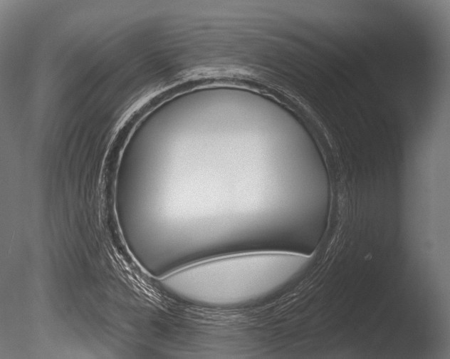 X0000086050975200703230916