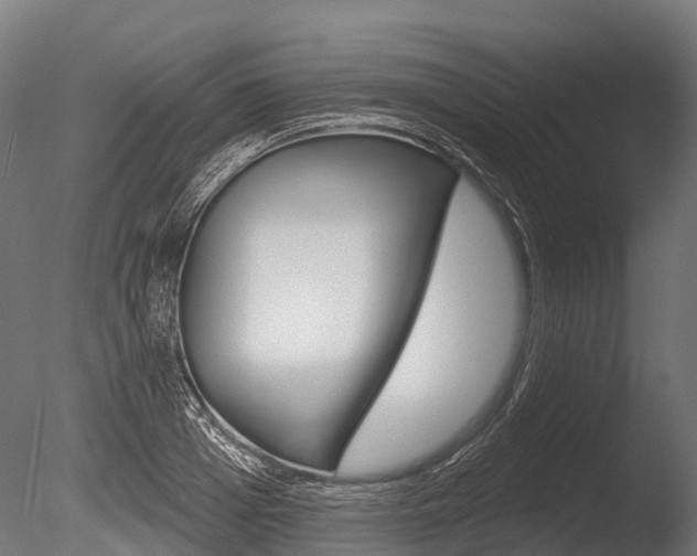X0000086050985200703230916