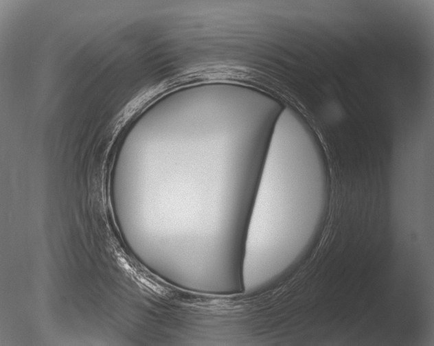 X0000086050986200703230916