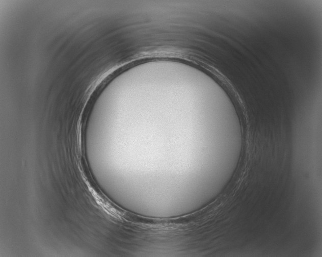 X0000086050988200703230916