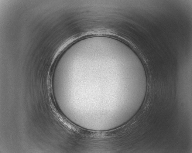 X0000086050990200703230916