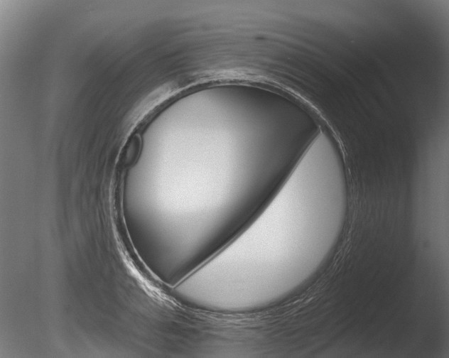 X0000086050991200703230916