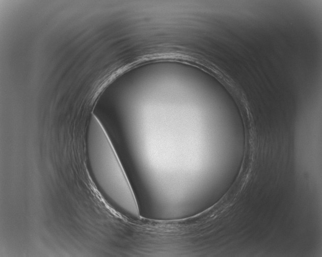 X0000086050993200703230916