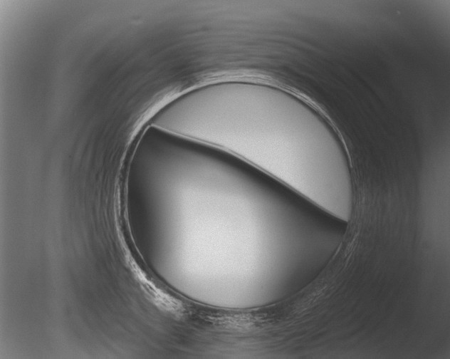 X0000086050999200703230916
