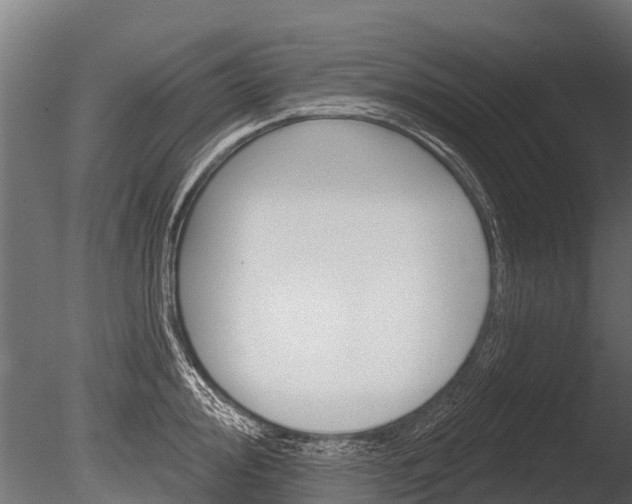 X0000086051000200703230916