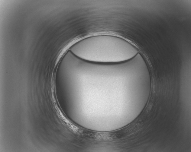 X0000086051006200703230915