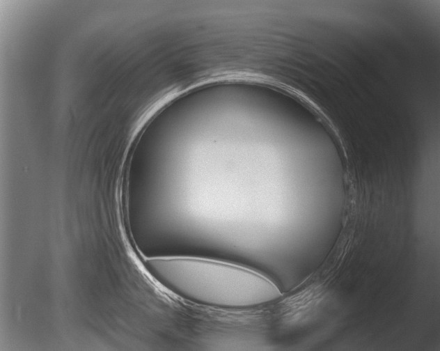 X0000086051007200703230915