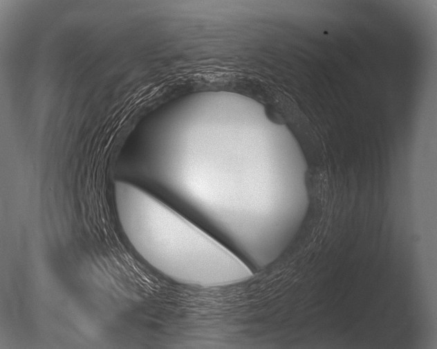 X0000086051009200703230915