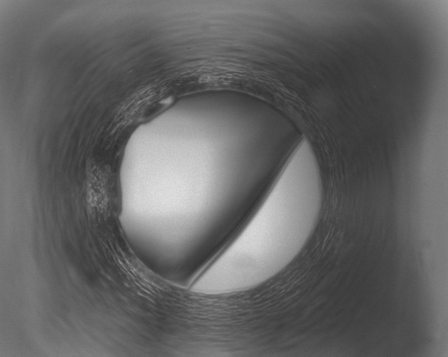 X0000086051012200703230915