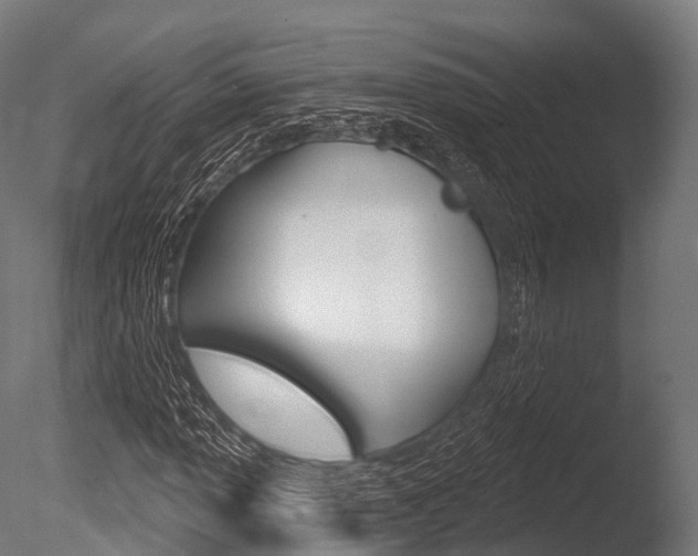 X0000086051013200703230915