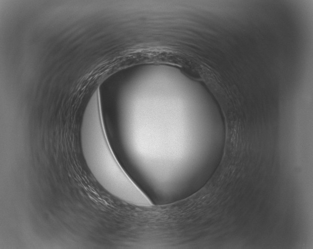 X0000086051014200703230915