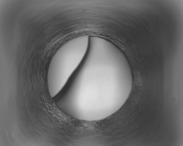 X0000086051015200703230915