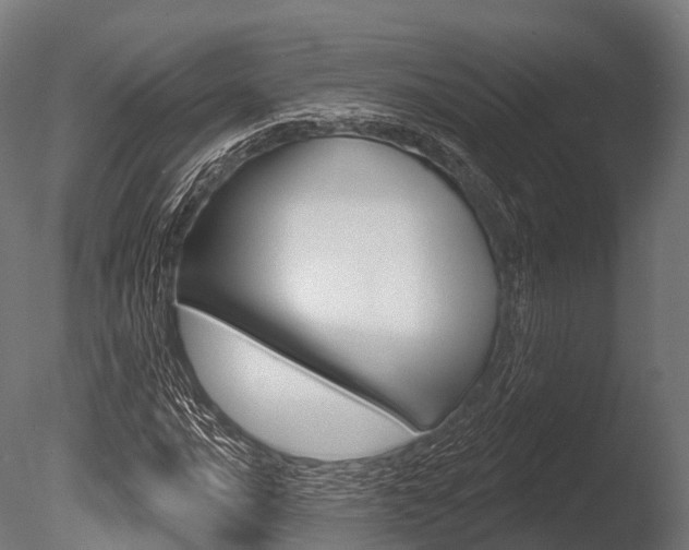 X0000086051016200703230915