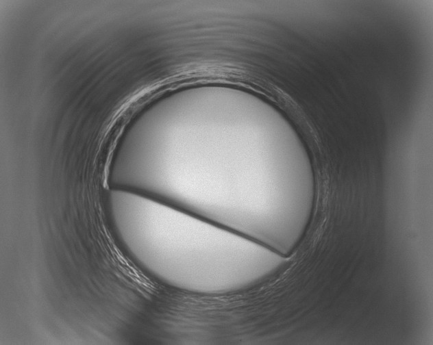 X0000086051019200703230915
