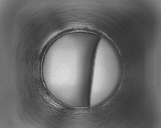 X0000086051021200703230915