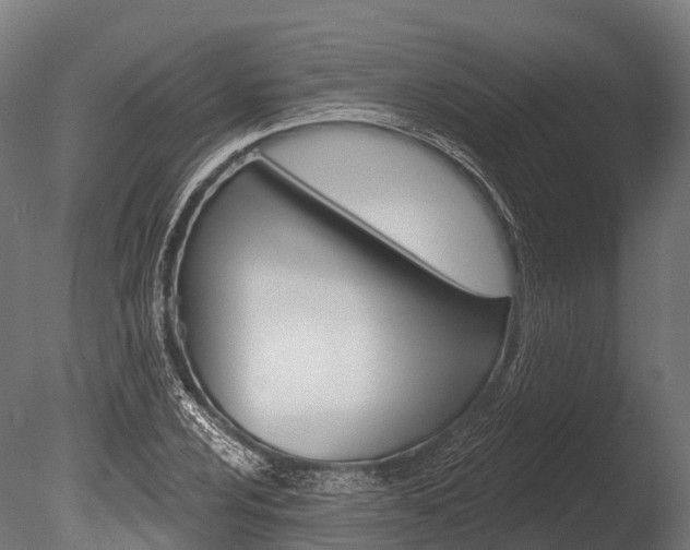 X0000086051024200703230915