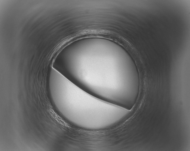 X0000086051025200703230915