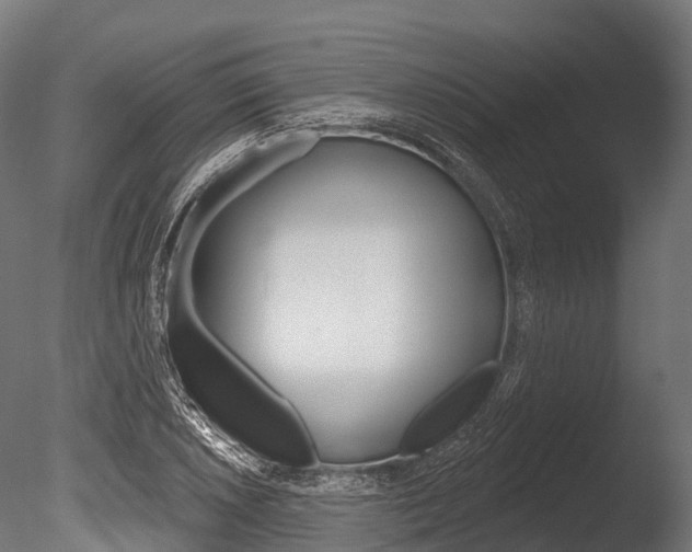 X0000086051026200703230915