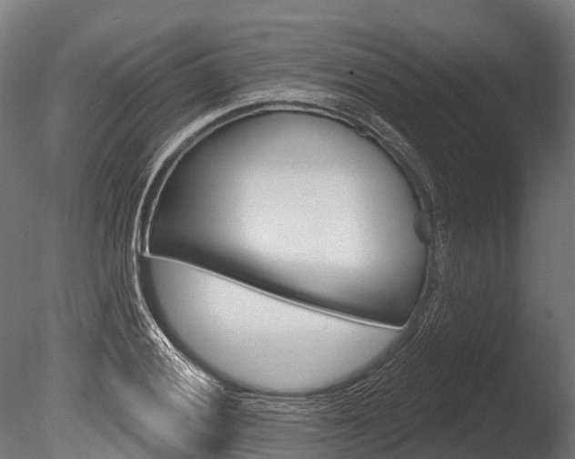 X0000086051028200703230915