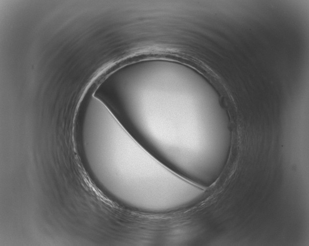 X0000086051029200703230915
