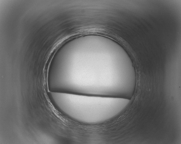 X0000086051031200703230915