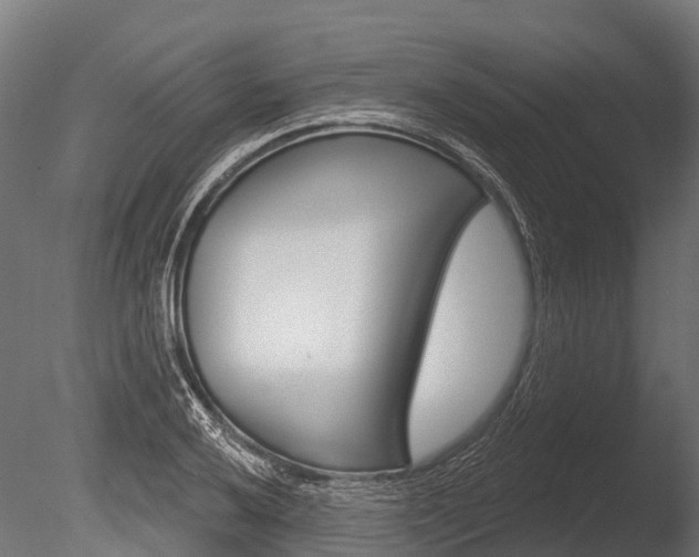 X0000086051032200703230915