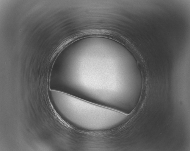 X0000086051033200703230915