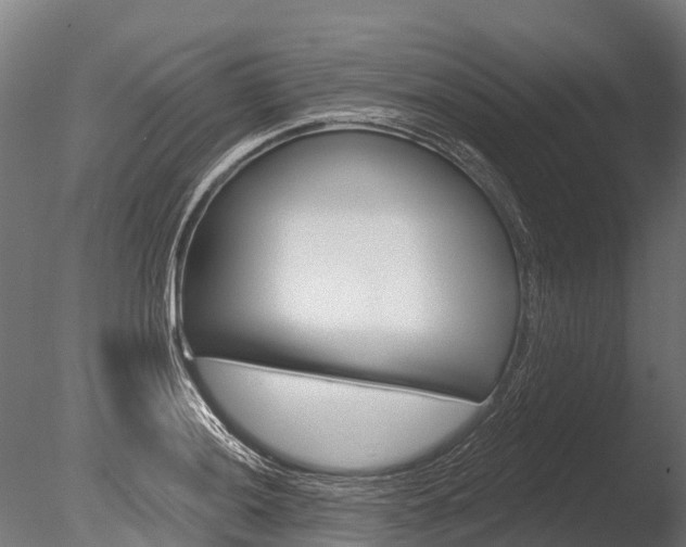 X0000086051036200703230915