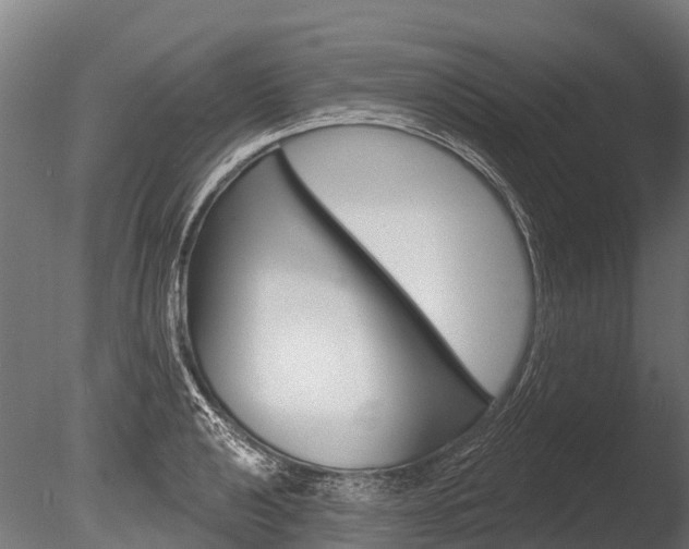 X0000086051040200703230915