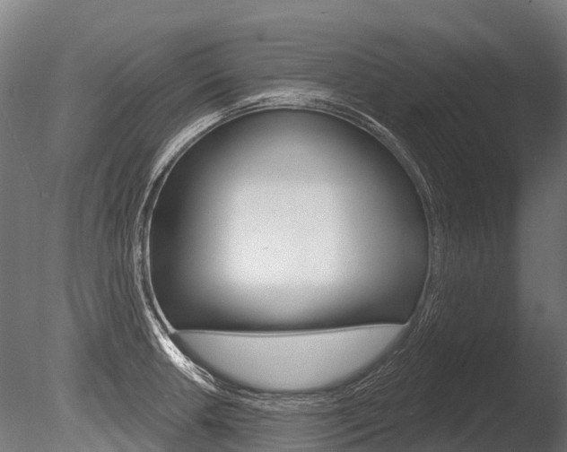 X0000086051042200703230915