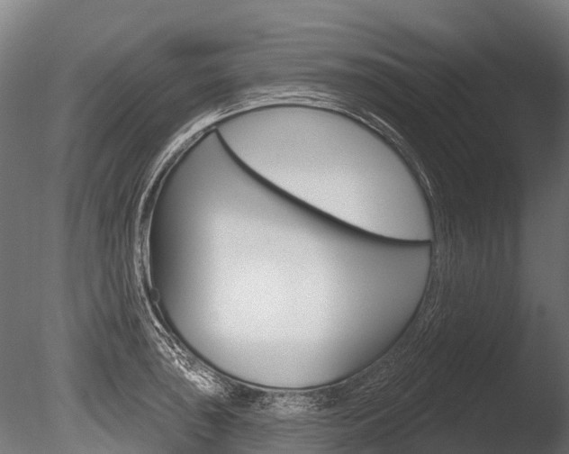 X0000086051043200703230915